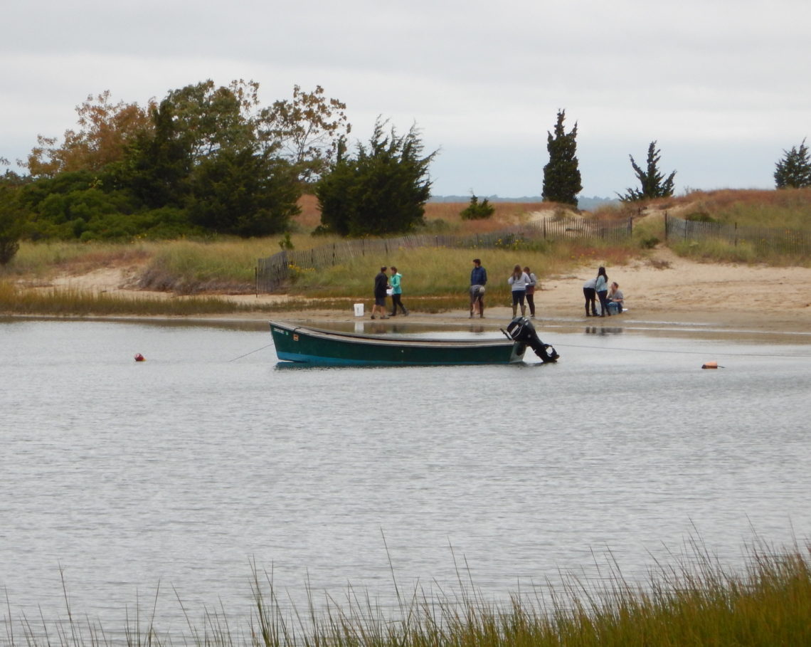 Parks, Preserves, and Beaches – Peconic Estuary Partnership