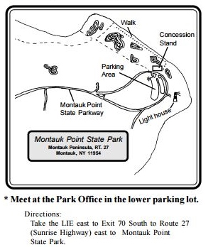 montauk hike seal point state park map